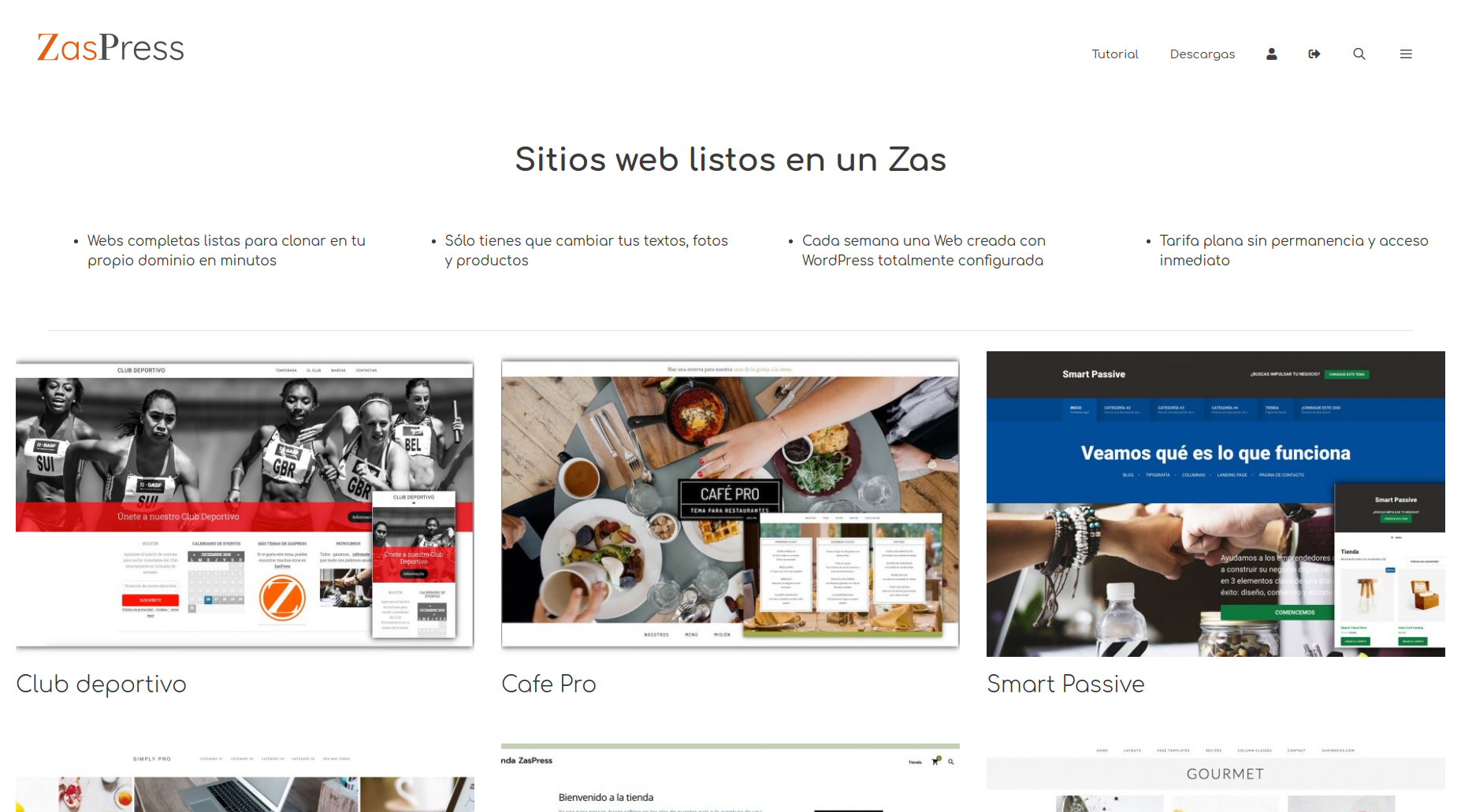 Consultor y Desarrollador Web